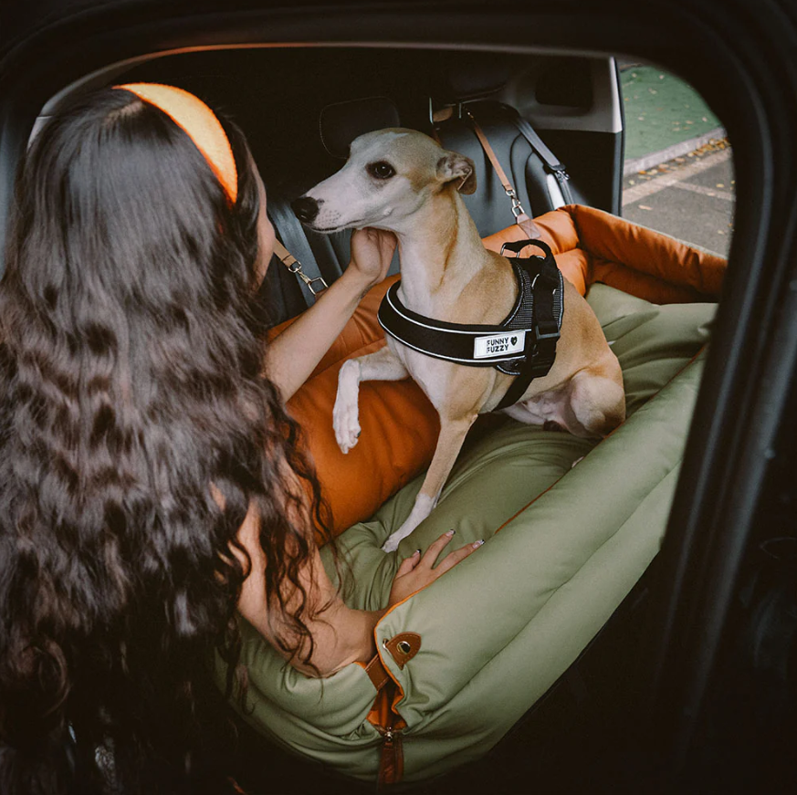 Woman with long hair and dog in car, using Funny Fuzzy pet car seat, Puppyoomew store