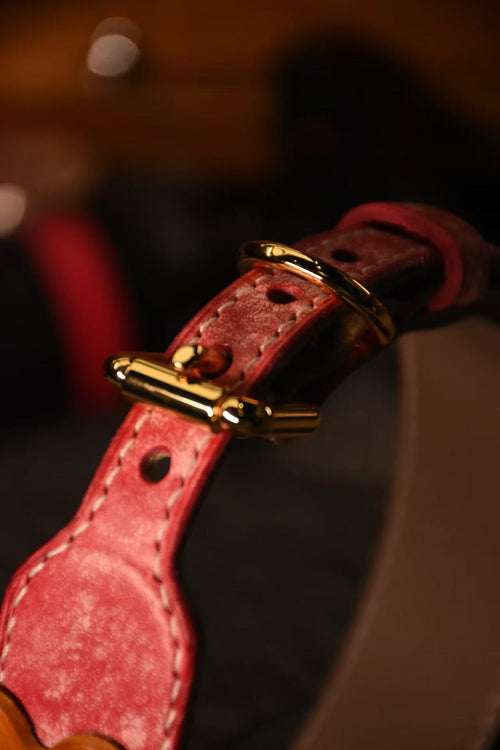 ARTISAN PET COLLARS