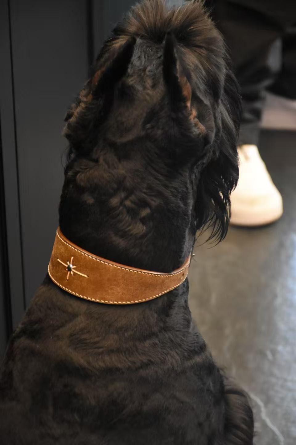 ARTISAN PET COLLARS